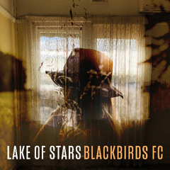 Lake of Stars