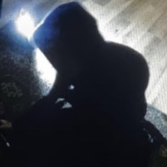 Emulator - Brothel in Belize