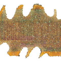 5 headache aids (intro) (NEW ALBUM ON ARCHIVE.ORG)