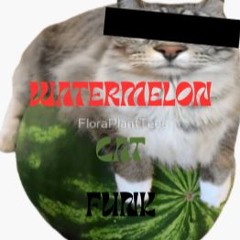 WATERMELON CAT FUNK (READ DESC)
