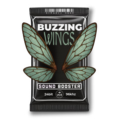 Sound Booster : Buzzing Wings