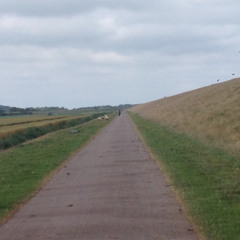 IV.'Me,..on my lonesome self..' (;...-.. 4.2024) - 06-03-2025 16.30