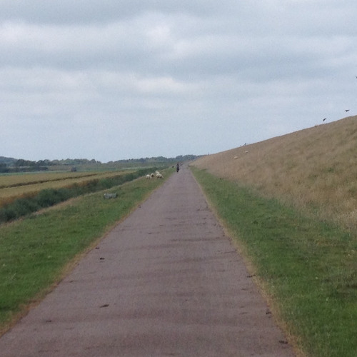 IV.'Me,..on my lonesome self..' (;...-.. 4.2024) - 06-03-2025 16.30