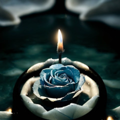 SENDING A ROSE