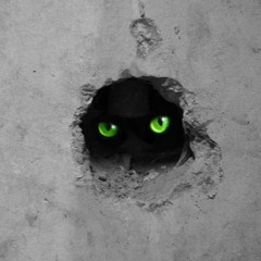 Proyecto sin titulo (Original Mix) - Qassino