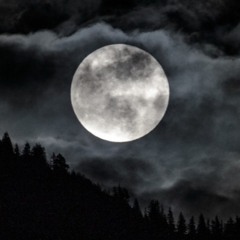 After Dark