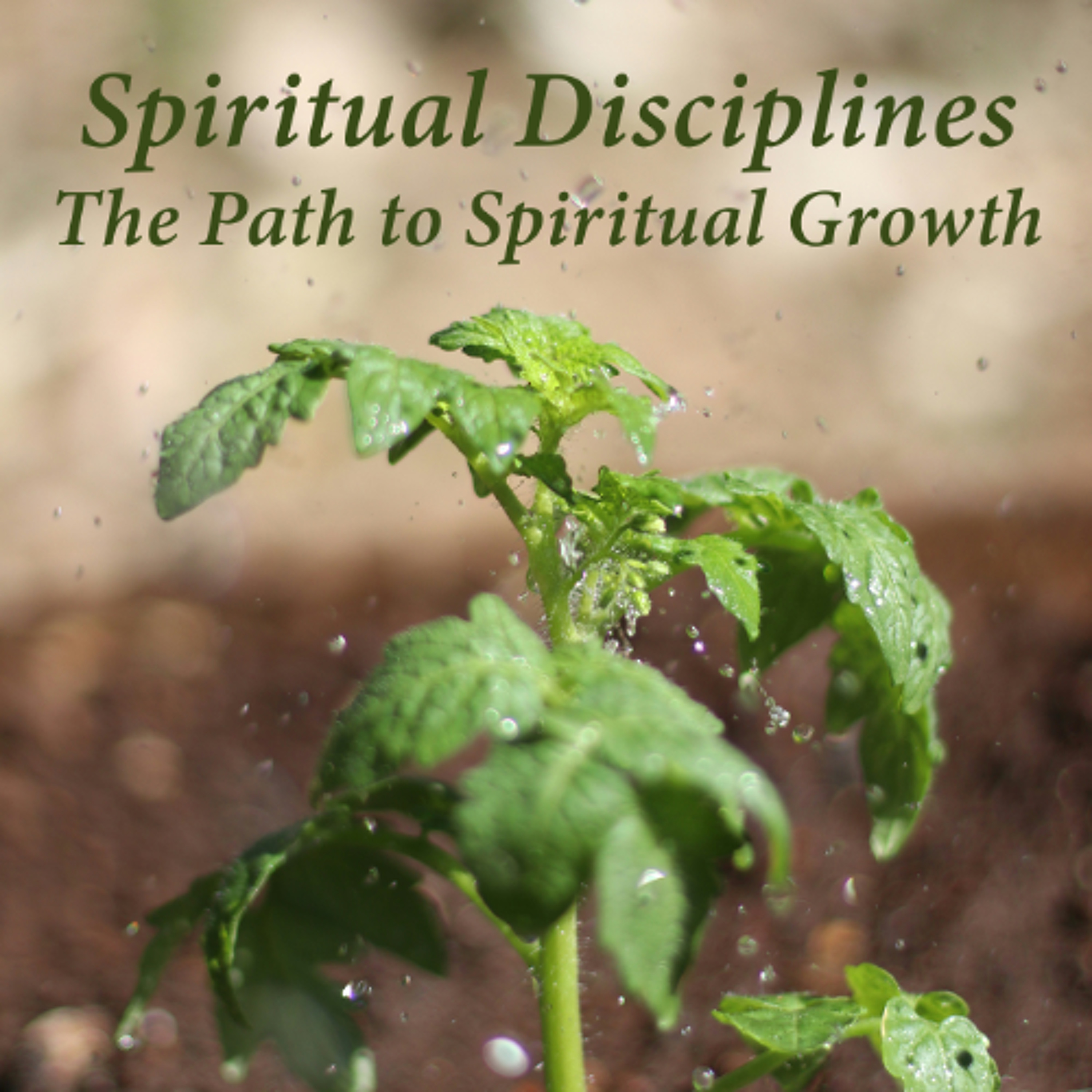 Spiritual Disciplines - The Path to Spiritual Growth (Local Fellowship) episode artwork
