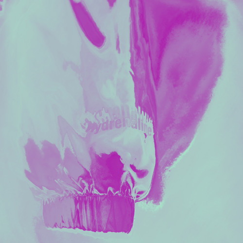 passion(slowed+THMTS)