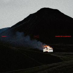 Fran LF - Chasing the Algorithm