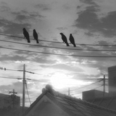sunset (2021)