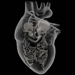 $∆dbo¥ ft WoEIzMe - W∆k€ Up $∆me Fight