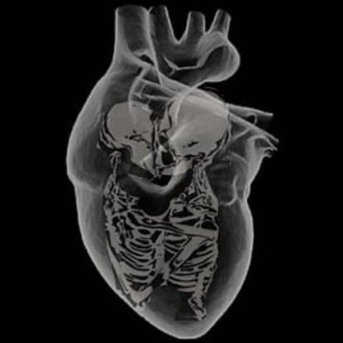 $∆dbo¥ ft WoEIzMe - W∆k€ Up $∆me Fight