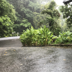 She Left Me Standing In The Rain