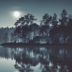 Nacht am See (Remix)