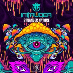 Inttruder - Stranger Nature (Original Mix)