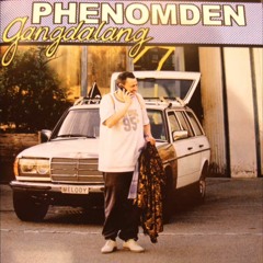 Phenomden - Roots