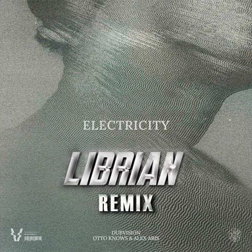 DUBVISION - ELECTRICITY (LIBRIAN REMIX)