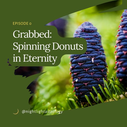 Grabbed Episode 14: Spinning Donuts in Eternity