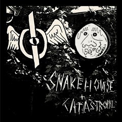 Catastrophi and Snakehouse *✰⁂✰✰⁂✰* Coasting Constellations