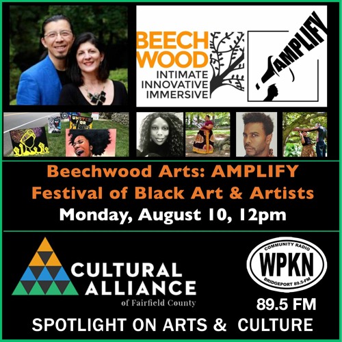 Spotlight On Arts & Culture | August 10, 2020 | AMPLIFY Festival of Black Art & Artists
