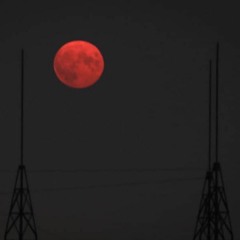 ̷̲̭̊̅̅͑́́ś̴̫̻̖̙̘̼̫̙͕̘̤̖̹̈́a̶̛̦͚̘̟̅̓̒͋̒̾̀̉̈́̔͠x̵̬͕̩̦̹͈̫͍̳̪̩̮͔̤̌̾̓̑͂͊̕