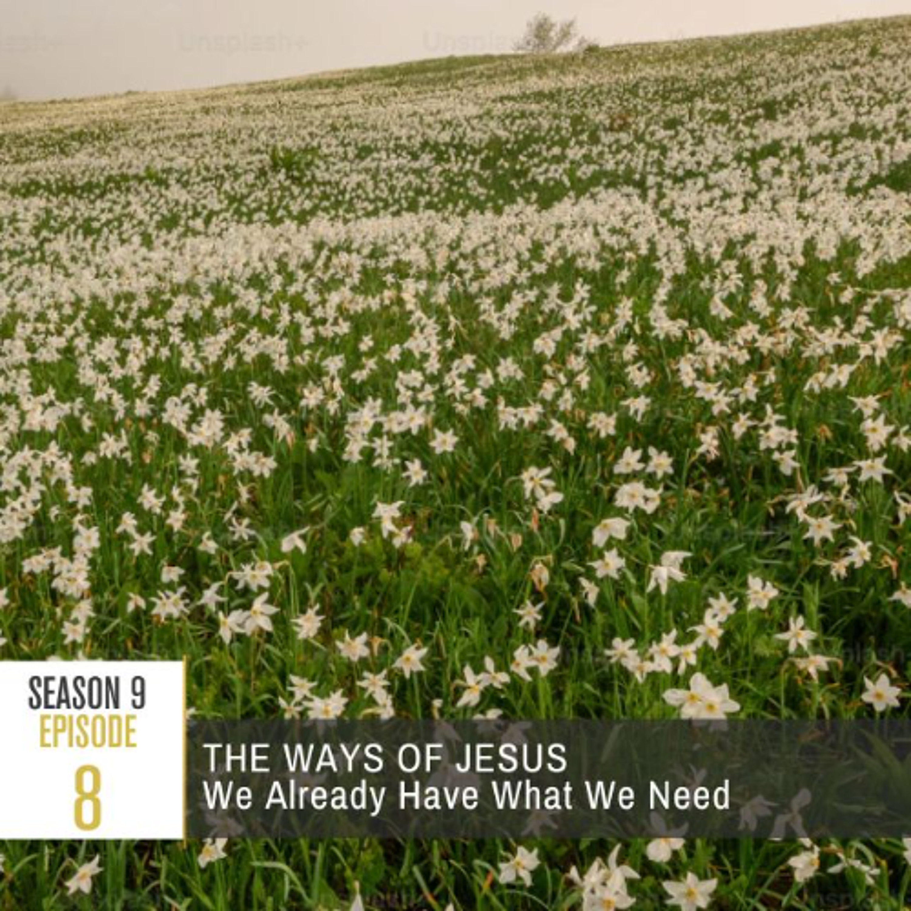 Season 9 Episode 8 - We Already Have What We Need