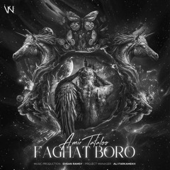 Faghat Boro - Amir Tataloo