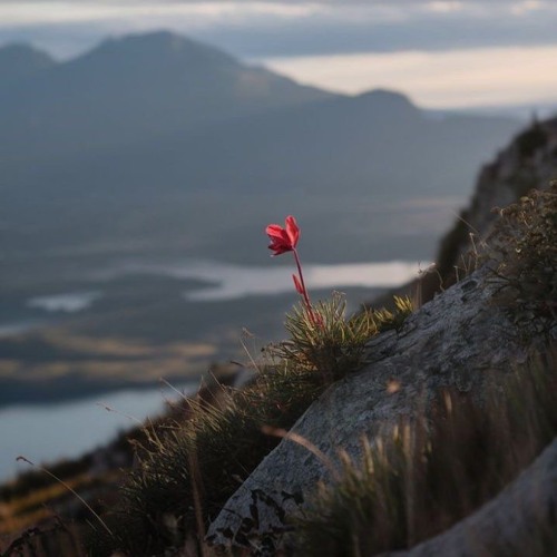 Be Thou Supreme - Instrumental (hymn #367)