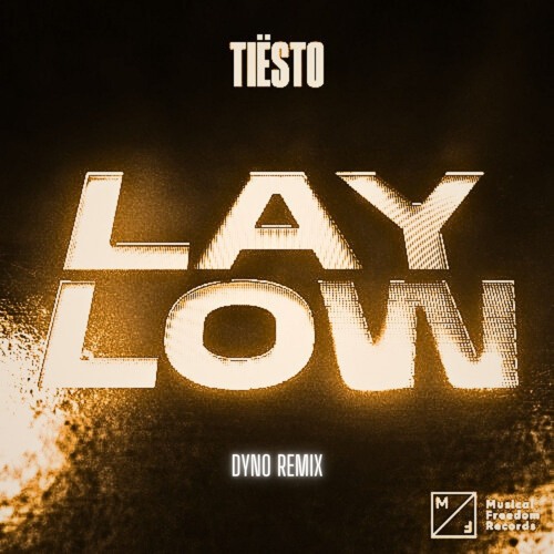 Tiesto - Lay Low (Dyno Remix)  [Afro House]
