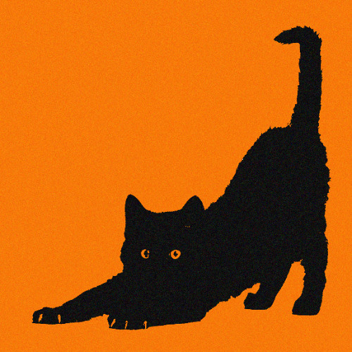 BRING IN THE KATZ (PAULY FLIP)