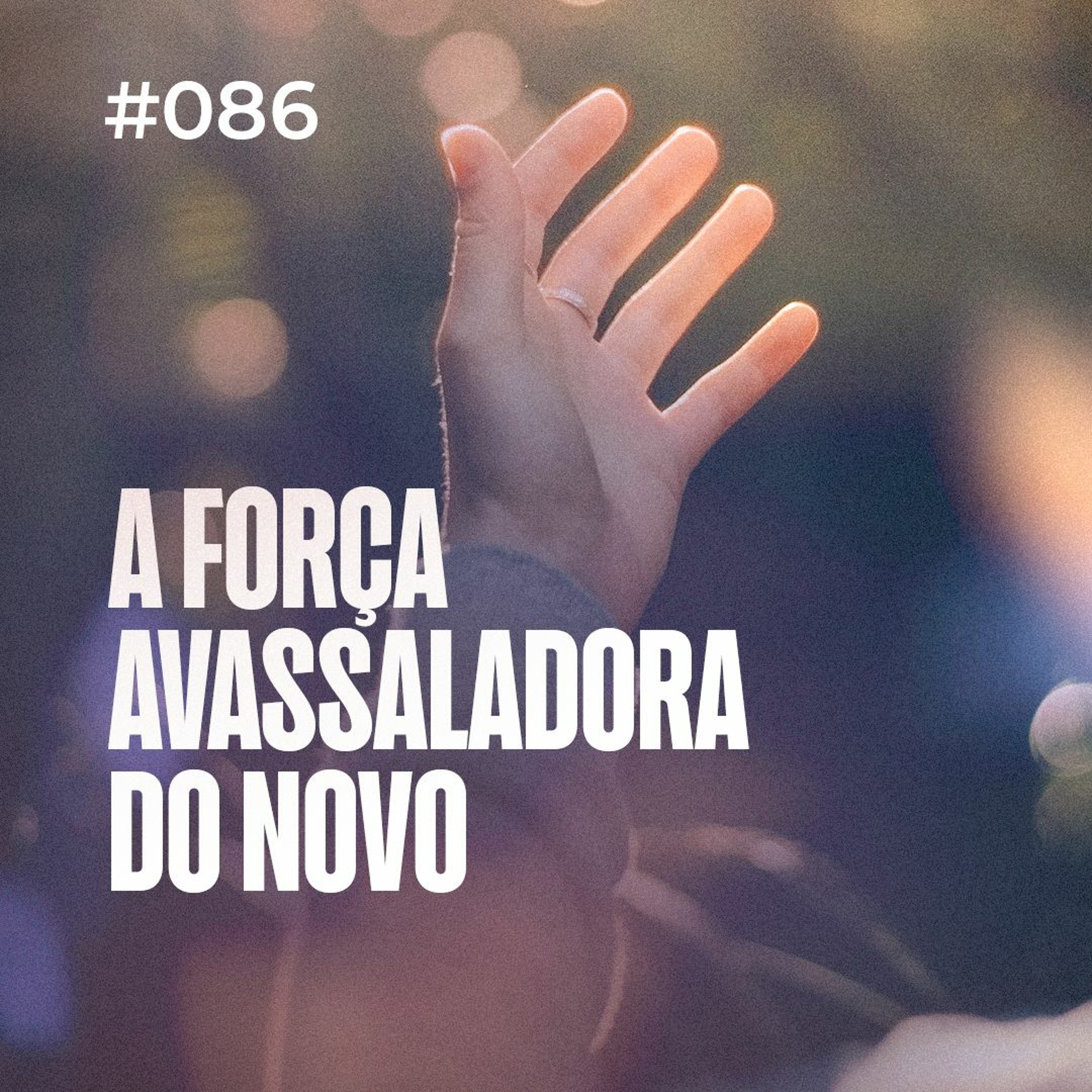 Dirce Carvalho