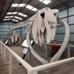 Three Imaginary Boys (acoustic)