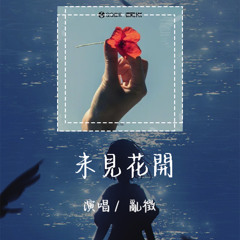 乱徵 - 未见花开 「把信叠成故乡的月亮揣进胸膛最暖的地方」【動態歌詞/Lyrics Video】 #乱徵 #未见花开 #動態歌詞