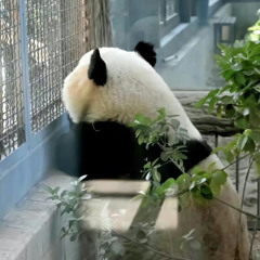 Muốn Quên Được Em
