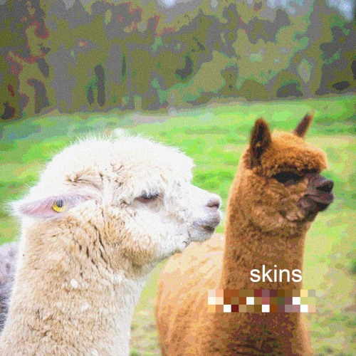 skins w/daikyu