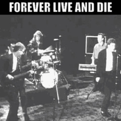 OMD - Forever Live and Die