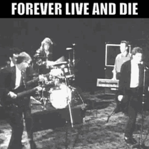 OMD - Forever Live and Die