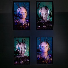 Joaquina Salgado | Avispish