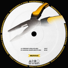 Beltran (BR) - Firewhip (Viralata Mix)