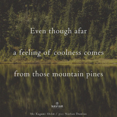 Distant Pines(NaviarHaiku575)
