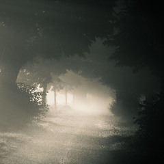 to emerge from the fog