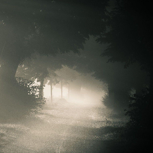 to emerge from the fog