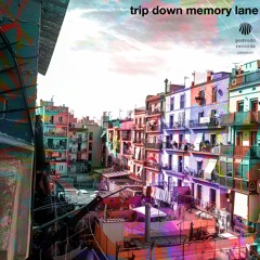 Arsonist & Papilla - Trip Down Memory Lane (Slowed)