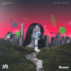 De Hofnar & SEM - Cry Me A River