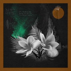 Rosewall, Shyam P - Destiny (Original Mix)