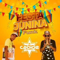 FESTA JUNINA Funk Dj Cabide