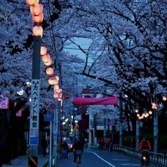 blossom (w/ heechan.)