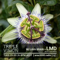 'Triple Vision' 25.03.25 w Lava Brain + LMD (Dilate) [area3000.radio]