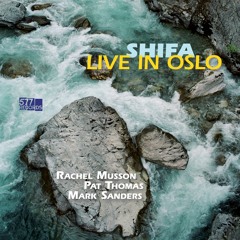 Rachel Musson/Pat Thomas/Mark Sanders Edit/preview from album Shifa - Live in Oslo (577 Recs)