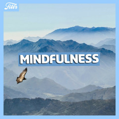 Mindfulness | Calm, light, relaxing background music | FILTR